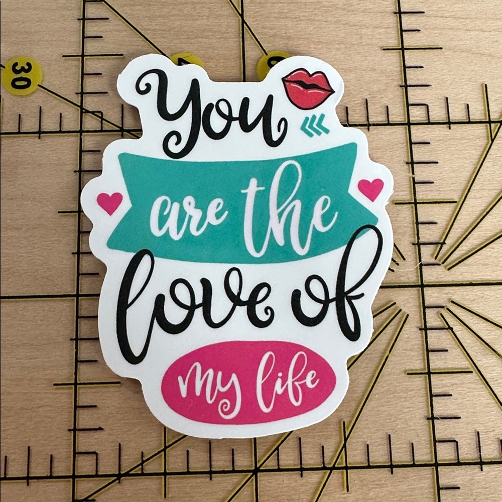 💜13/$13 +Bundle Sticker Sale | YOU ARE THE LOVE OF MY LIFE Waterproof Sticker